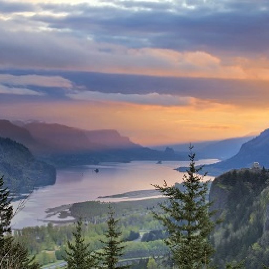 Columbia River View